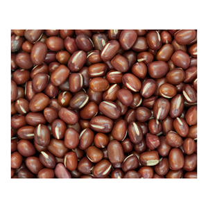 Frijoles Adzuki de Primera Calidad Suministrados para Redes de Distribución Mayorista - Product Image 1