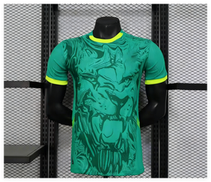 2526 قميص كرة قدم سريع الجفاف لكأس أفريقيا الأكثر مبيعًا زي رياضي عالي الجودة لمشجعي كرة القدم - Product Image 1