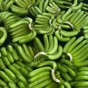 Cavendish Banana verde frutta tropicale stile fresco pronto per l'esportazione 100% alimenti biologici naturali all'ingrosso dal produttore del Vietnam