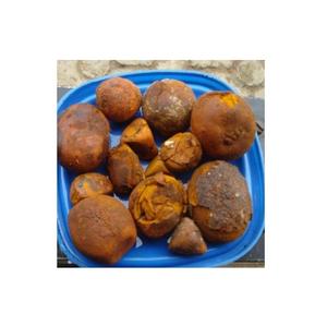 Cálculos biliares de buey de vaca seca de calidad | Cálculos biliares de ganado | Cálculos biliares de vaca y Bezoar - Product Image 6