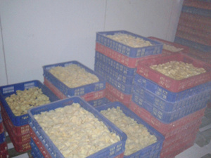 Dulzura tropical entregada en Jaca congelada de Vietnam, cápsulas listas para usar - Product Image 6