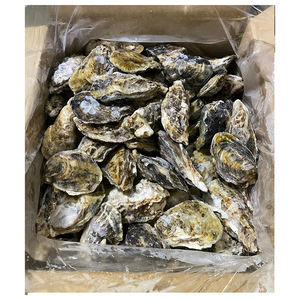 Carne de ostra japonesa de primera calidad preparada para compradores al por mayor con entrega rápida - Product Image 2