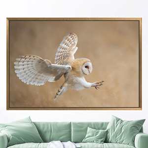 ผ้าใบพิมพ์ลายศิลปะนกฮูกบาร์นสุดหรู ตกแต่งบ้านด้วยภาพสัตว์ป่า 1 ชิ้น: กรอบสีทอง - Product Image 1