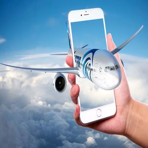 Transitario de carga aérea de China a EE. UU. Singapur y transitario de carga marítima a Malasia que ofrece Ddp a los Emiratos Árabes Unidos - Product Image 3