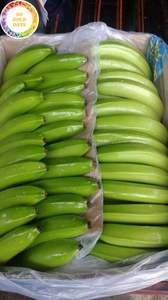 Bananes Fraîches de Haute Qualité pour l'Exportation vers les Grossistes de Doha, Utilisant des Fruits Tropicaux Sélectionnés du Vietnam par 99 Gold Data - Product Image 5