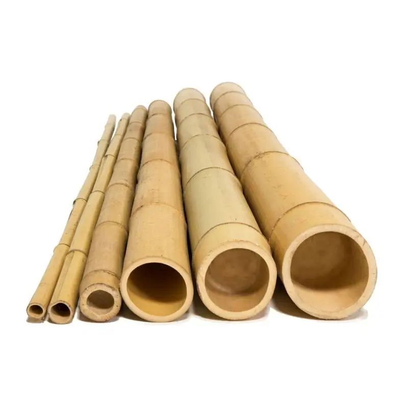 Wholesale Vietnam bamboo Poles-100% Natural bamboo pole/cane/stick/stake Eco-friendly export Worldwide
