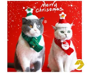 Hermoso conjunto de accesorios navideños para mascotas, sombrero de Reno tejido, bufanda de Noel Papá, cuello, babero, calentador de cuello, regalo de invierno para mascotas - Product Image 5