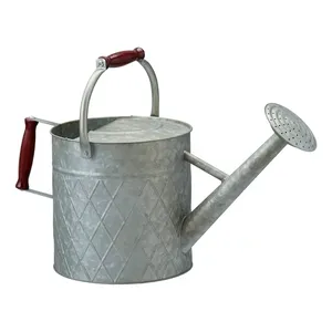 Antique Galvanized Metal Water <b>Cane</b> Simple Iron <b>Garden</b> Jugs for Low Rate Watering Can - Product Image 2