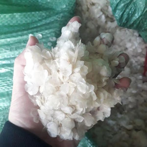 ปลากะพงแห้งเกล็ดปลาคอลลาเจนวัตถุดิบสำหรับเครื่องสำอางครีมและคอลลาเจนเปปไทด์ผง - Product Image 1