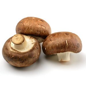 Nature Restore Agaricus Blazei Murill Natural 20% 50% Polisacáridos Agaricus Blazei Muril Agaricus Blazei Extracto ÁNGULO - Product Image 1