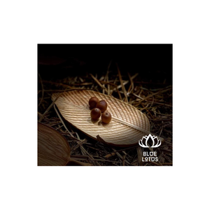MEILLEUR VENDEUR 2023 ASSIETTE EN BOIS Ustensiles de cuisine DÉCORATION MEILLEUR PRIX DU LOTUS BLEU VIETNAM - Product Image 1