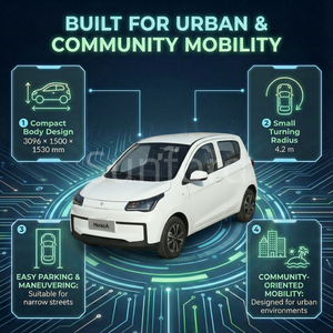 Solarunterstützte Mobilitätsprojekte für Gemeinden: Mini-Elektroauto mit niedriger Geschwindigkeit aus China - Product Image 2