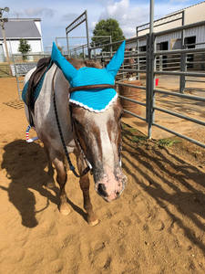 Velo de mosca de caballo personalizado de alta calidad, capó de oreja, Color azul, producto de equitación ecuestre con todos los diseños disponibles - Product Image 5