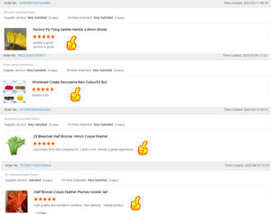 Selle teintée Hackle Poulet <span class=keywords><strong>Coq</strong></span> <span class=keywords><strong>Plume</strong></span> <span class=keywords><strong>pour</strong></span> Artisanat DIY Fly Tying Chapellerie Carnaval <span class=keywords><strong>Cheveux</strong></span> Boucle D'oreille Accessoire Fête Décor À La Maison - Product Image 6