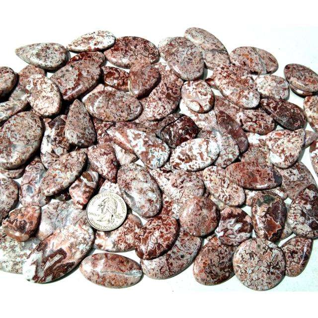 น้ำตาล/ขาว