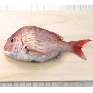 Sản Phẩm Mới Loại Cá Đông Lạnh Tươi Đỏ Seabream Cá 300-500G Cho Hải Sản Nhà Nhập Khẩu - Product Image 6