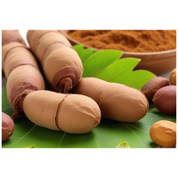 Poudre de tamarin séchée par pulvérisation 100% pure, naturelle et saine, Herbojit International, qualité supérieure, délicieuse, fabriquée en Inde, additif alimentaire