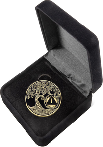 Chất Lượng Cao Nhung Đồng Xu Vàng Lưu Trữ Hộp Quà Tặng Tùy Chỉnh Bán Buôn Kim Loại Kỷ Niệm Đồng Xu Hiển Thị Trường Hợp - Product Image 3