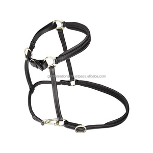 Portable personnalisé nouveau Design cheval équestre cuir licou fabricants haute équestre équipement d'équitation OEM - Product Image 5