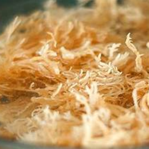 Musgo marino seco de alta calidad al mejor precio con embalaje OEM de Vietnam - Product Image 1