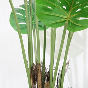 Plante artificielle en plastique Monstera - Grande plante décorative tropicale d'intérieur de 210 cm - Product Image 5