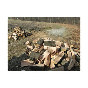 Bois de chauffage en vrac chempedak prêt à être expédié aux distributeurs et aux détaillants - Product Image 2