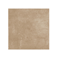 Carrelage durable 600x600mm brûlé Sienna finition mate pour sol résistant à l'eau 5mm d'épaisseur élégance naturelle pour salle de bain
