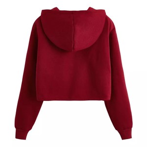 Custom Logo Crop <b>Top</b> Hoodie for Women With Embroidered Design Hooded Fitness Style for <b>Winter</b> Season - Product Image 3