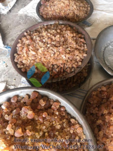 Rikaz Produit agricole Premium Gomme d'acacia du Soudan Arabe Sénégal Hashab Poudre pour l'industrie alimentaire et des boissons - Product Image 4