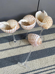 Premium Turbo Seashell Glass Cup Auténtico diseño hecho a mano Natural y elegante Perfecto para beber suministro a granel - Product Image 6