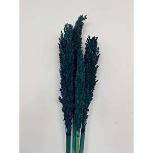 ดอกข้าวฟ่างแห้ง - Product Image 2