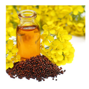 Fourniture en gros au meilleur prix huile de moutarde pure 100% biologique de haute qualité à bas prix - Product Image 1