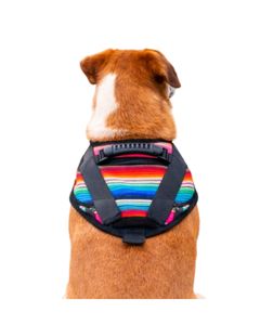 Arnés y Collar para Perro - Ligero, Deportivo, de Poliéster y Lona de Algodón, Diseño Moderno, Decorativo y Lavable - Product Image 1