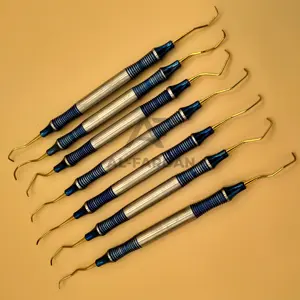 Tooth Cleaning Tools Point Gold Garacey Scalers Curettes Professional Dental Curettes Instruments Stainless Steel