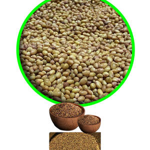 Berseem Clover | Demanda anual en cadenas de suministro de piensos - Product Image 4