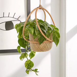 Nuevas macetas colgantes decorativas modernas de bajo precio hechas a mano de Vietnam-Bambú y mimbre Allure - Product Image 1