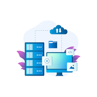 Servicios de administración de bases de datos profesionales Versión OEM compatible con DOS Mac iOS-Aplicación de servidor de venta de software empresarial