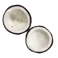 Gedroogde Kokosnoot Van Vietnam Low Moq Tropische Stijl Volwassen Zoete Voeding Hot Selling Biologische Export Beste Kwaliteit Merk