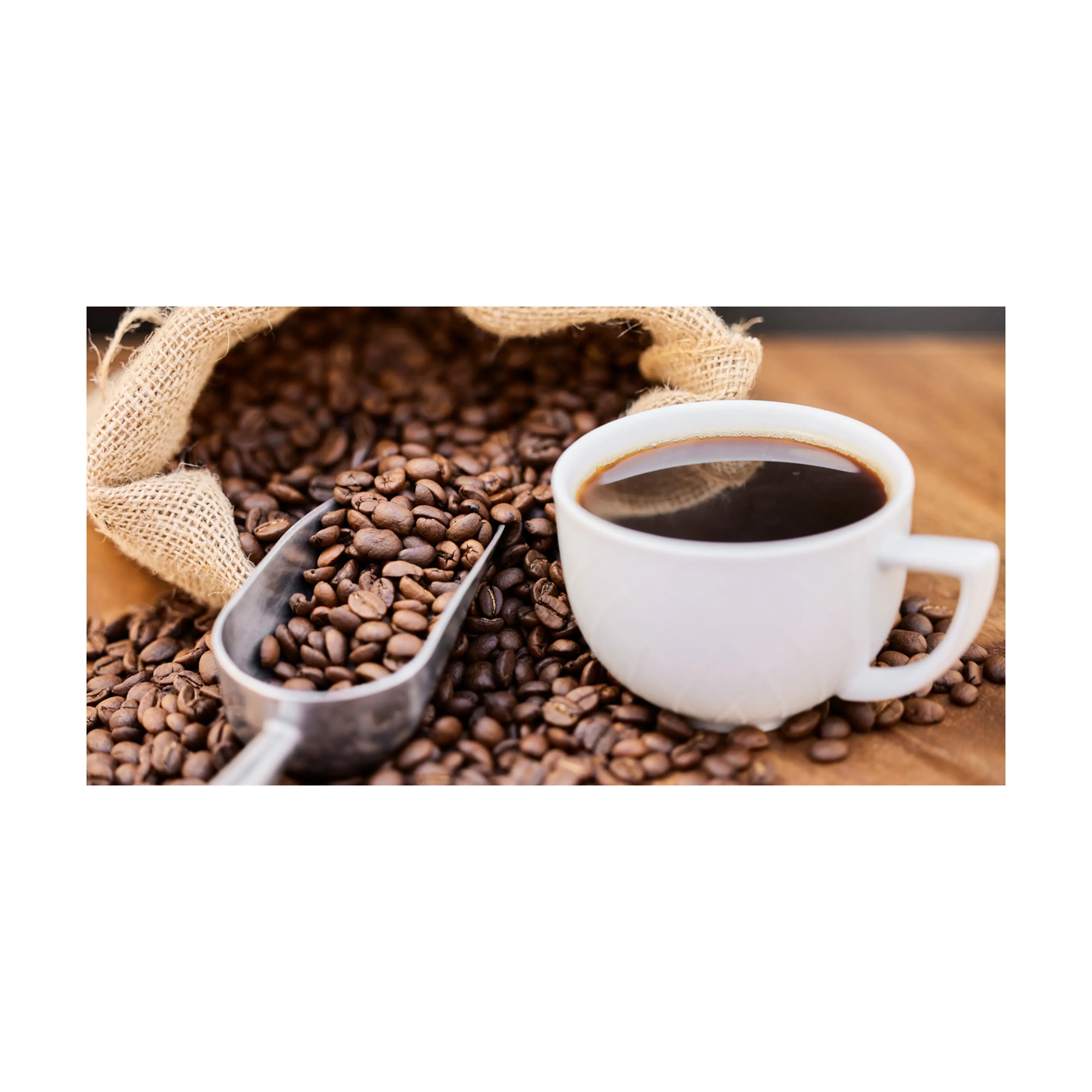 Grãos de café Arábica/grãos de café crus diretamente da fazenda