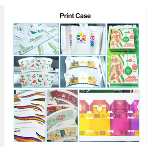 Impresora de Inyección de Tinta Industrial de 90 cm de Paso Único para Impresión a Color de Alta Velocidad en Etiquetas de Papel, Bolsas de Papel Kraft y Embalajes Personalizados - Product Image 4