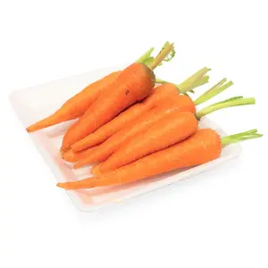 Frische Karotte aus Gemüse Frische Karotten Samen für den Großhandel Export