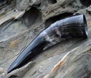 Fabricant et exportateur de tasse de corne de boeuf de buffle à vendre et fabriqué avec une corne à boire de haute qualité - Product Image 5