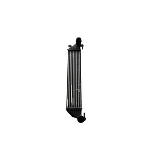 INTERCOOLER 312A2000 FIAT 500 Serie L (351_352) (12>) 8A9450000 Gasolina 0.9 - Product Image 1