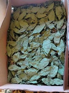 Feuilles de jute séchées broyées du Vietnam, 4oz ANGLE, fabricant - Product Image 3