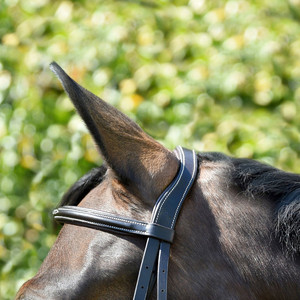 Brida de Cuero para Caballo de Alta Calidad con Tirador Lateral, Tamaño y Logotipo Personalizables, Lista para Exportación al por Mayor - Product Image 2