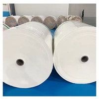 Fabricante de papel térmico 48gsm 55gsm 58gsm 60gsm 65gsm Rollos gigantes de papel térmico