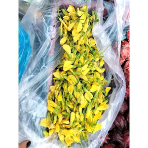 ดอกไม้ rattlebox แช่แข็งอเนกประสงค์สำหรับซุปอาหารเพื่อสุขภาพและการทำอาหาร - Product Image 5