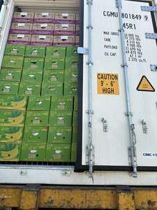 Banane Cavendish fraîche du Viet Nam de haute qualité et au meilleur prix Fruits frais pour importateur et acheteur - Product Image 6