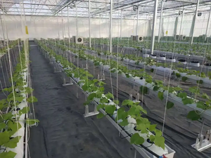 Sistemas de Agricultura Inteligente Hidropónica y Torre Aeropónica con Riego Automático y Control de Nutrientes - Product Image 5