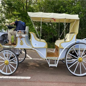 Carroza de <span class=keywords><strong>Caballos</strong></span> Eléctrica Royal Manufacturer, Material de Hierro, para Montar a Caballo - Product Image 1